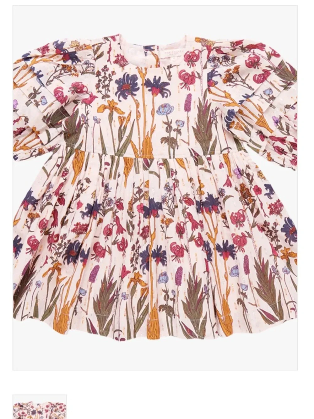 Pink Chicken Brooke Dress Set Autumn Flowers Baby Girl 6 12M NWT